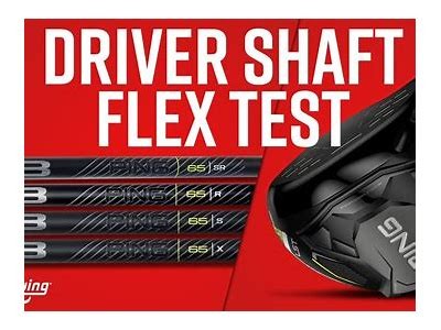 Ultimate Guide to the Best Flex Test Winners for 2023: Top Picks and Reviews