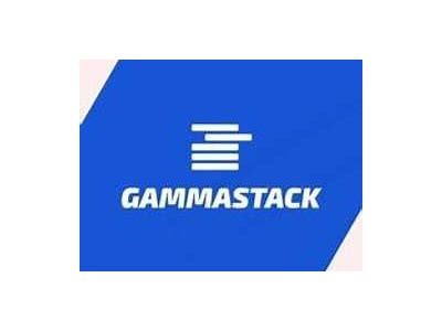Insights from the CEO of GammaStack on Industry Trends and Business Innovation